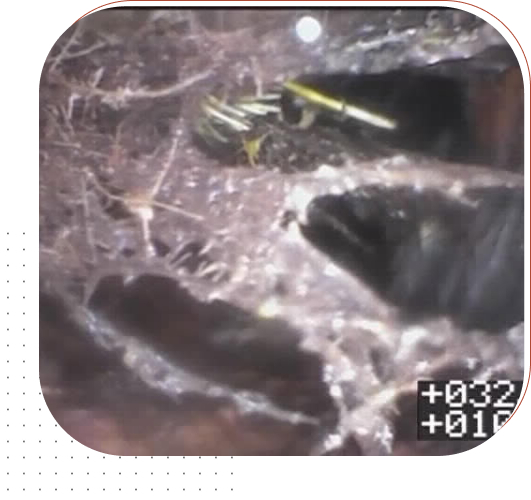 bluepeake-home-image36 sewer connection repair